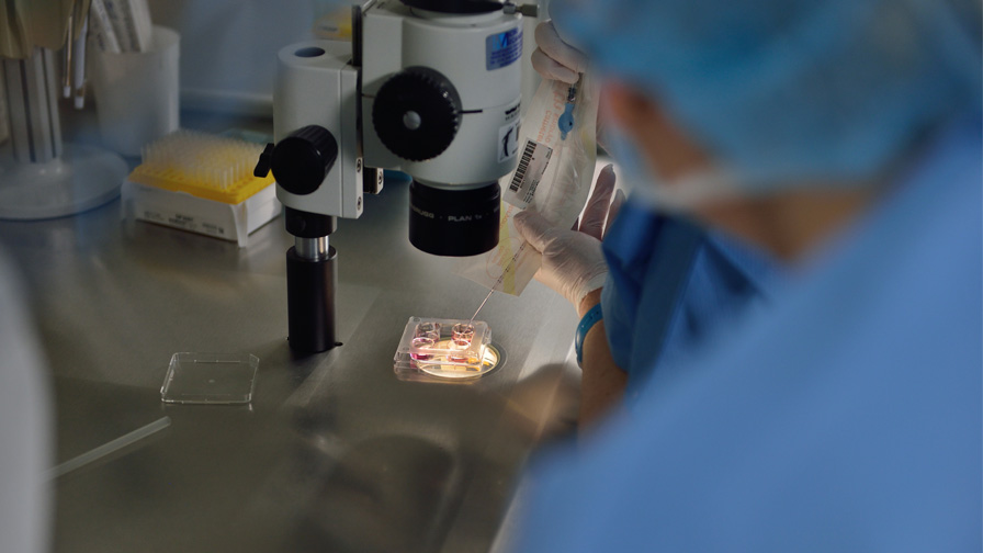 Prélèvement d’un embryon pour transfert in utero 