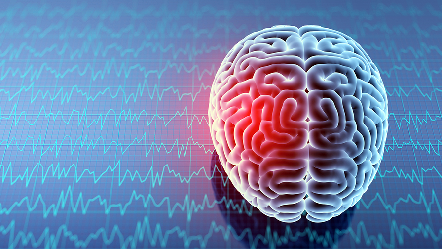 Rendre le cerveau résilient aux maladies neurodégénératives une