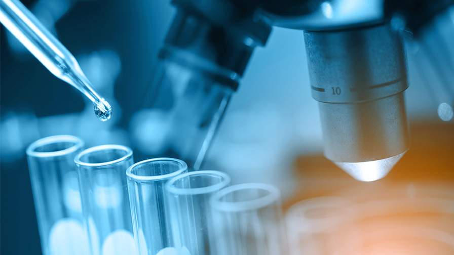 Les scientifiques les plus cités dans le monde en 2023