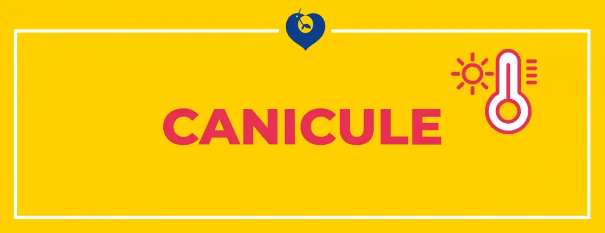 Visuel canicule