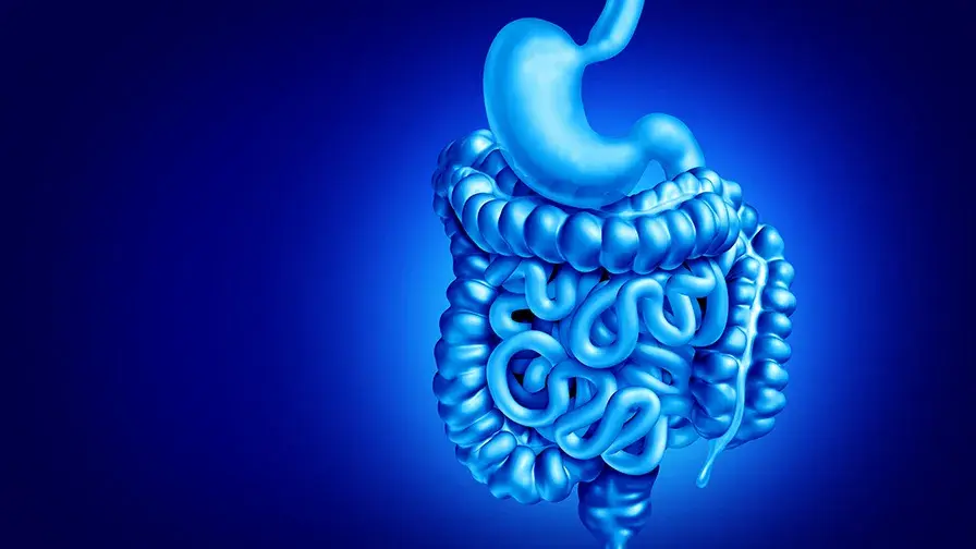 Cancer du côlon métastatique, des approches thérapeutiques qui se précisent.jpg