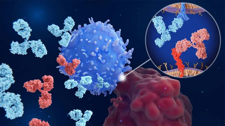 Cartographie d’une altération moléculaire 