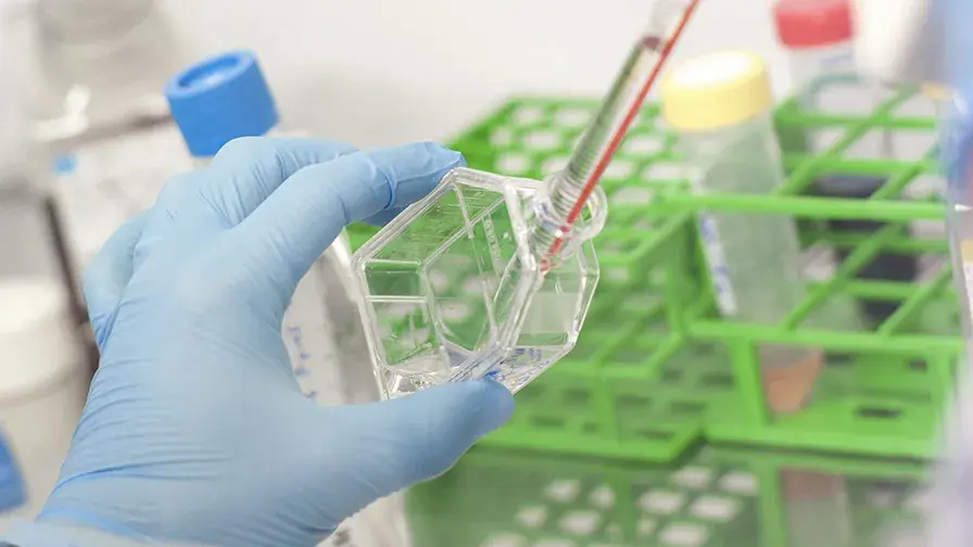 comité de pilotage « Recherche Covid-19 AP-HP »