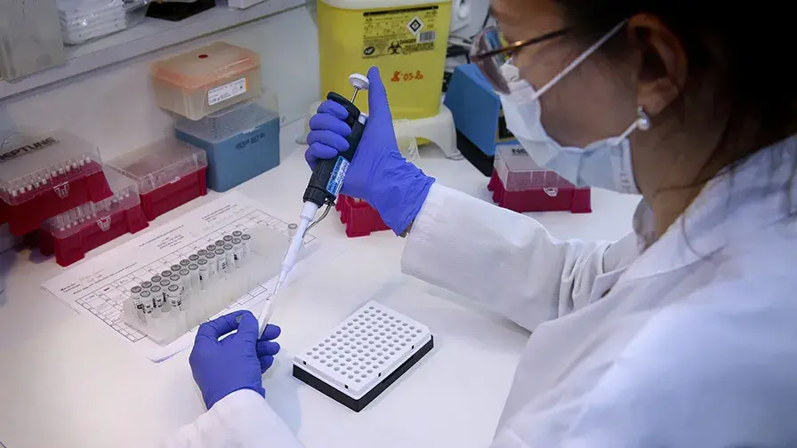 Covid-19 étude en laboratoire