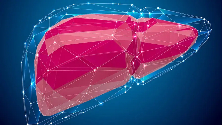 L'intelligence artificielle pour prédire la réponse au traitement dans dans le cancer du foie le plus fréquent