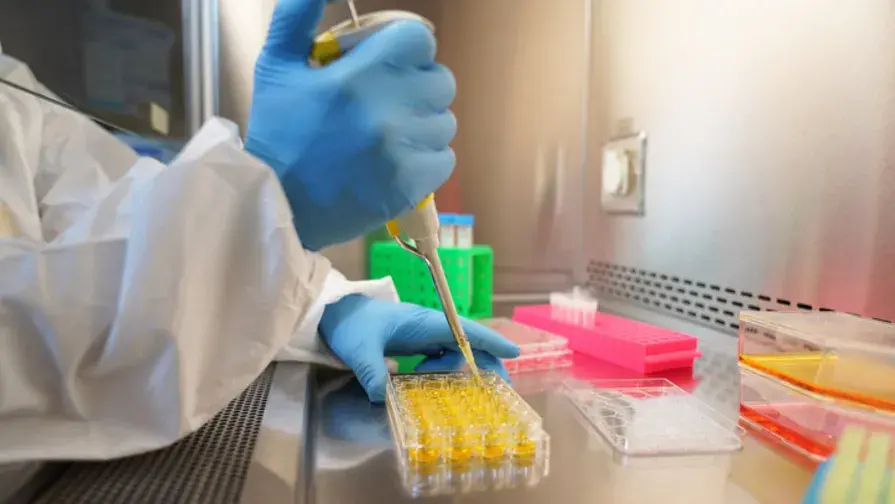 Neutralisation de BA.1 et BA.2 par les anticorps monoclonaux thérapeutiques