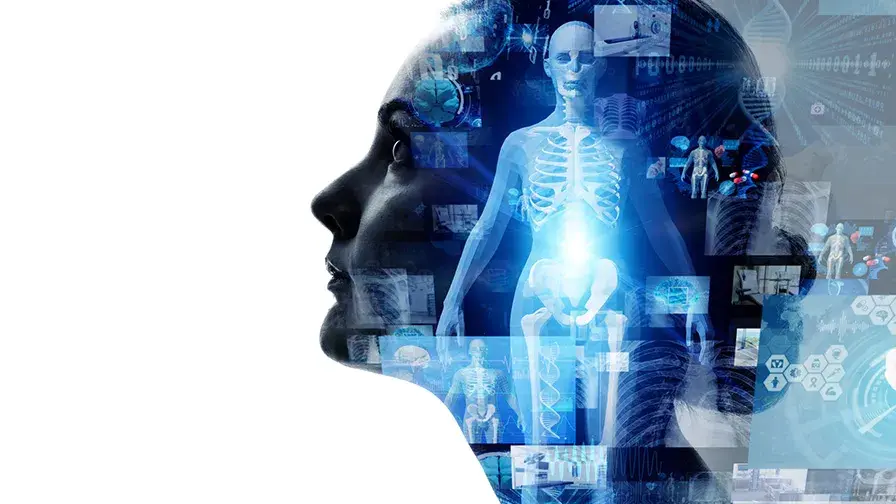 Des jumeaux virtuels pour aider les radiologues dans l'évaluation de l'efficacité des traitements anti-cancéreux  