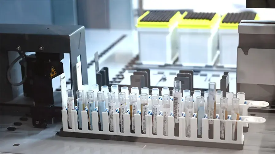 L'azithromycine après une allogreffe de cellules souches hématopoïétiques 