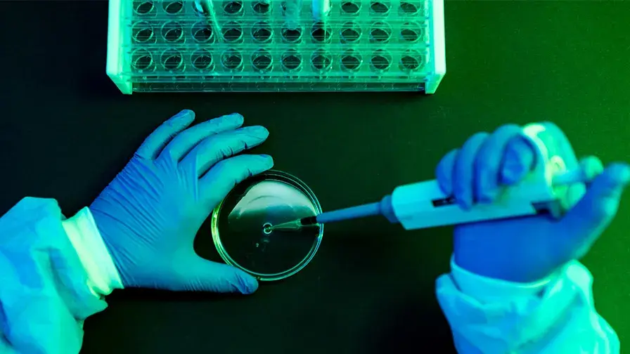 Dilemme cytokinique virus contre inflammatio