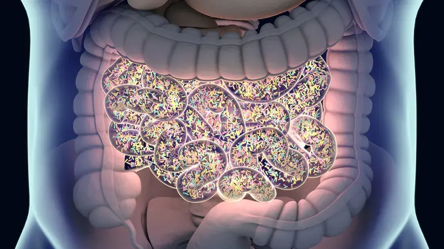 Microbiote intestinal