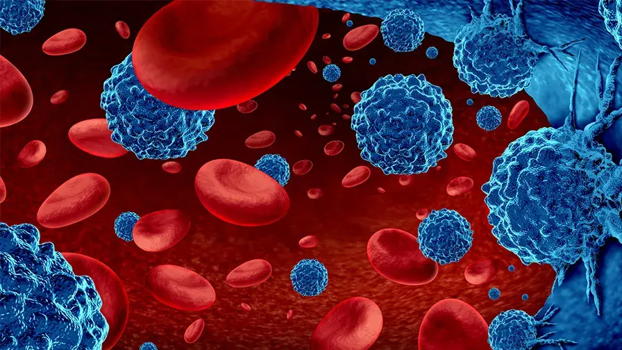 Risque accru de déclaration d'infection avec les anticorps monoclonaux bispécifiques anti-BCMA dans le myélome multiple