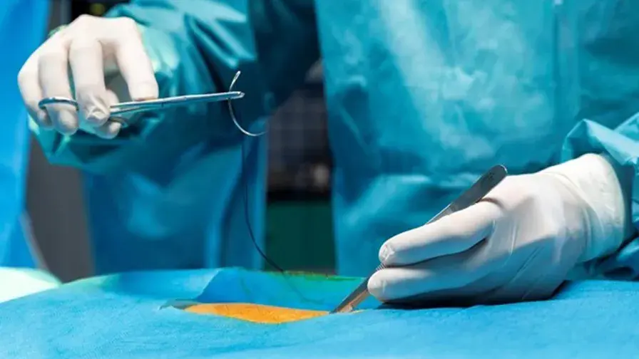 L'expertise du GHU AP-HP. Paris Seine-Saint-Denis reconnue dans la prise en charge de l'obésité