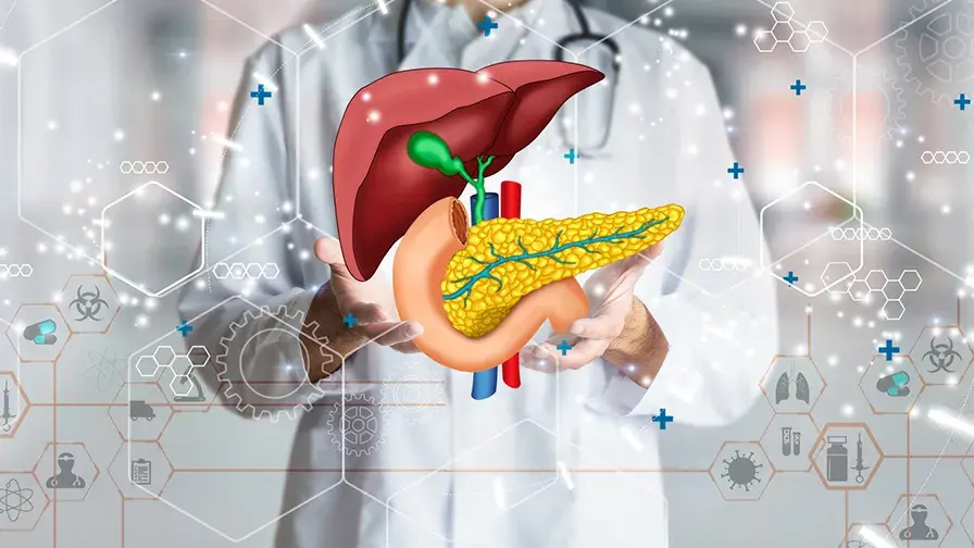L'intelligence artificielle au service du diagnostic et du traitement du cancer du pancréas