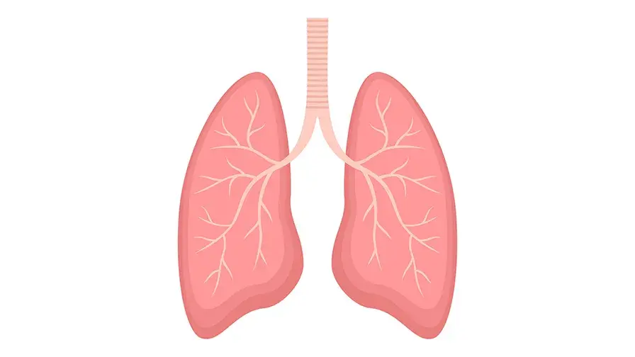  Identification d’une nouvelle maladie génétique 