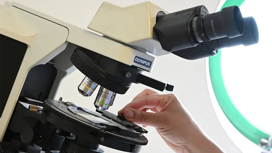 Journée internationale de la recherche clinique à l'AP-HP