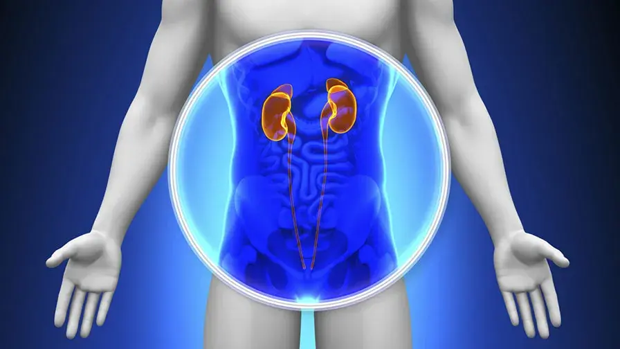 AP-HP : une 6ème greffe de rein chez une même patiente