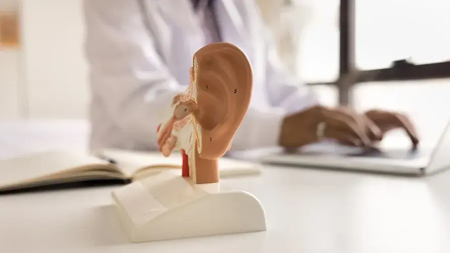 améliorer la prise en charge chirurgicale des patients atteints de surdité