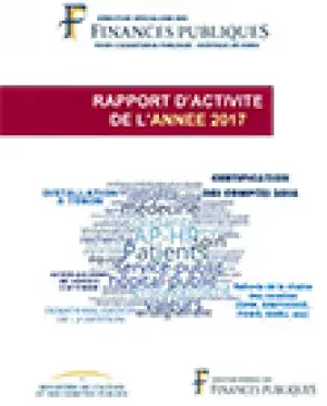 Rapport d'activité 2017 de la Direction spécialisée des finances publiques pour l'AP-HP
