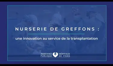 Nurserie de greffons : une innovation au service de la transplantation
